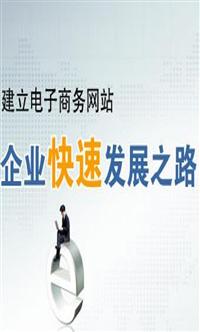 浪波网电子商务平台项目