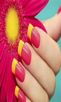 米兰工作室项目