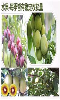 农工厂农作物服务平台 项目